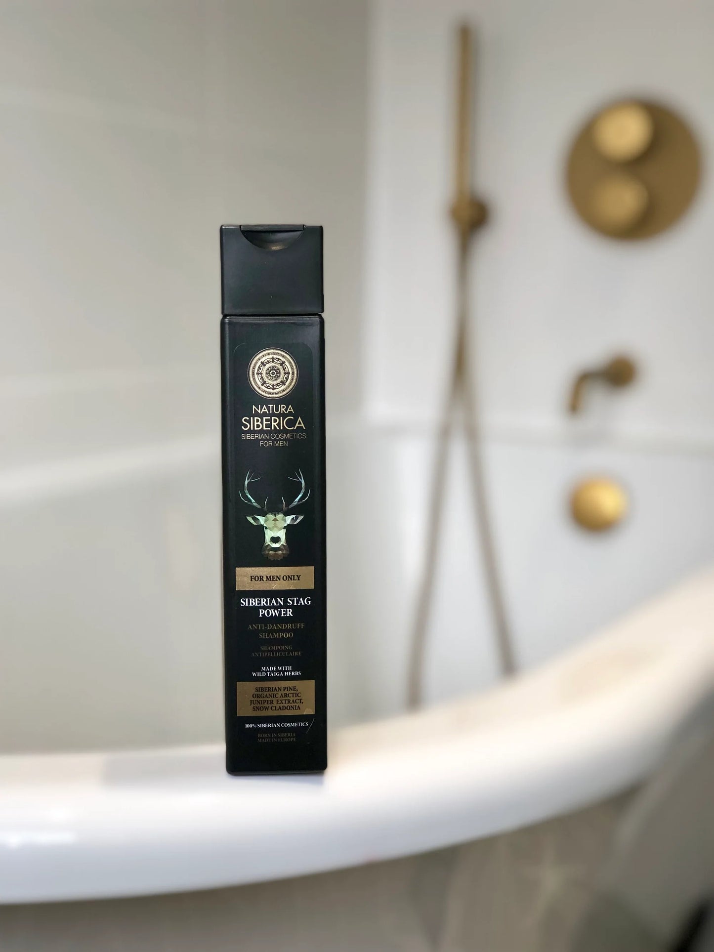Shampoo anti caspa siberian stag power
