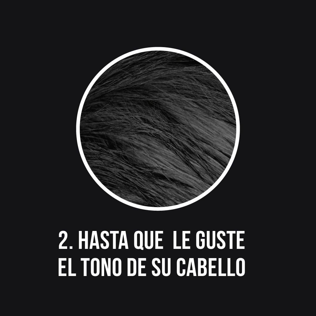 Black shampoo cubre canas